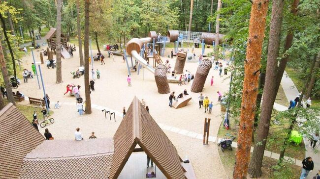 Детская площадка в подмосковном парке 