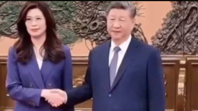 Си Цзиньпин и Чжэн Ливэнь