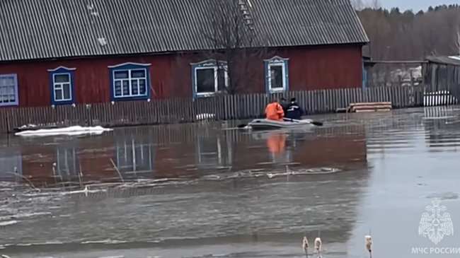 Паводок в Алтайском крае