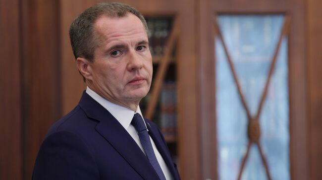 Президент Владимир Путин встретился с губернатором Белгородской области Вячеславом Гладковым