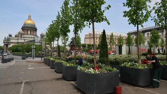 Сад-трансформер на Исаакиевской площади откроется в День города