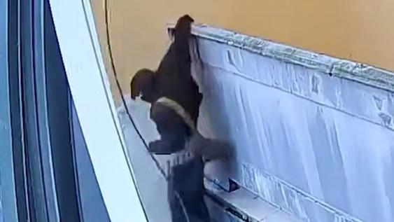 Школьник-руфер погиб после падения с седьмого этажа Школьник-руфер погиб после падения с седьмого этажа - РИА Новости, 1920, 01.06.2026