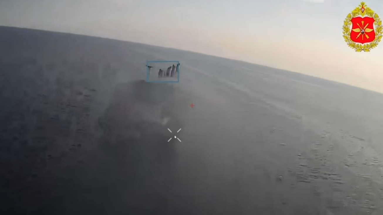 Пораженный сухогруз в Черном море Пораженный сухогруз в Черном море - РИА Новости, 1920, 18.07.2026