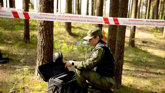 Тело пропавшего преподавателя МГУ обнаружено в лесу Тверской области