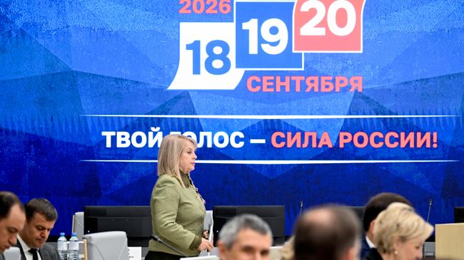 "Трусы по сути, мерзавцы по сущности": Памфилова – о провокациях на выборах
