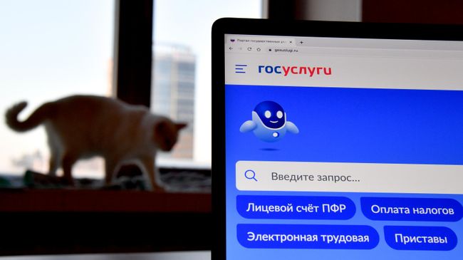 Брачный договор теперь можно подготовить онлайн на "Госуслугах"