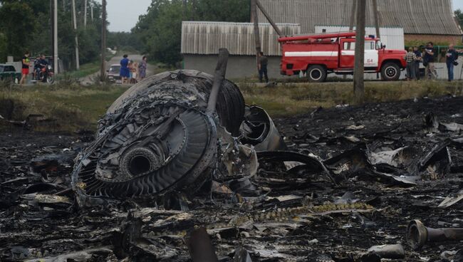 Крушение малайзийского Boeing на Украине