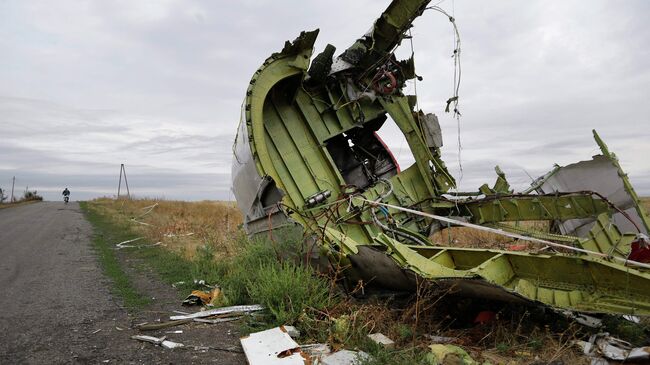 На месте крушения малайзийского самолета Boeing 777 в Донецкой области