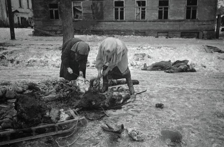 Блокадный Ленинград. Женщины собирают останки убитой лошади и грузят на сани, чтобы потом использовать мясо в пищу