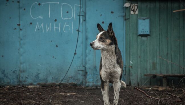 Ворота частного дома с надписью Стоп мины в поселке Чернухино