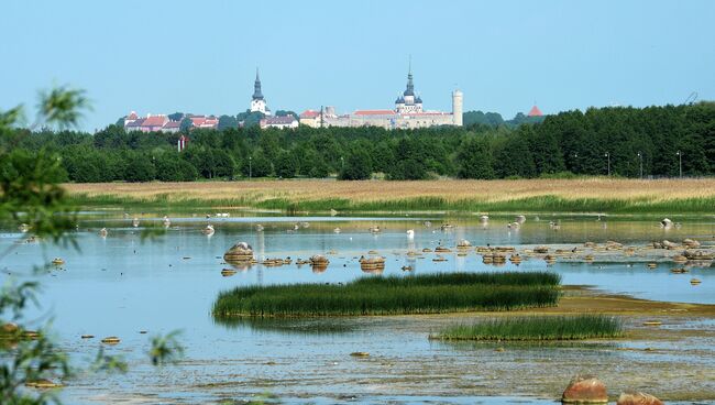 Города мира. Таллин