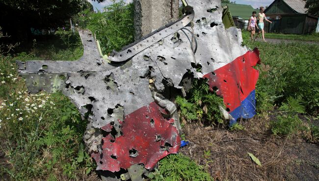 Обломки Боинга в Донецкой области