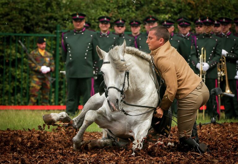 Реконструкция событий в честь прзаднования 200-летия битвы при Ватерлоо в Бельгии. Июнь 2015