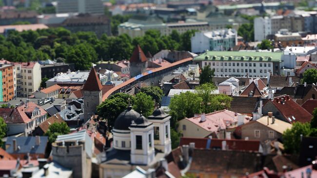 Вид на Старый город с верхушки церкви Оливисте в Таллине, Эстония