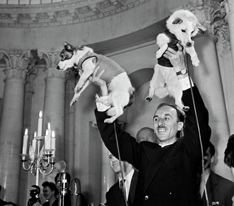 Академик Олег Газенко демонстрирует собак Белку и Стрелку на пресс-конференции, посвященной полету космического корабля-спутника с подопытными животными