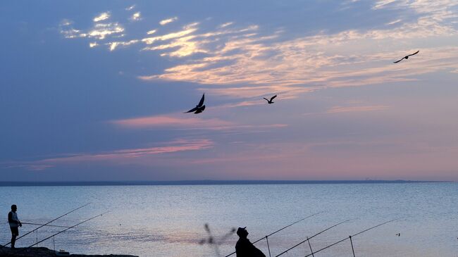 Берег Черного моря.