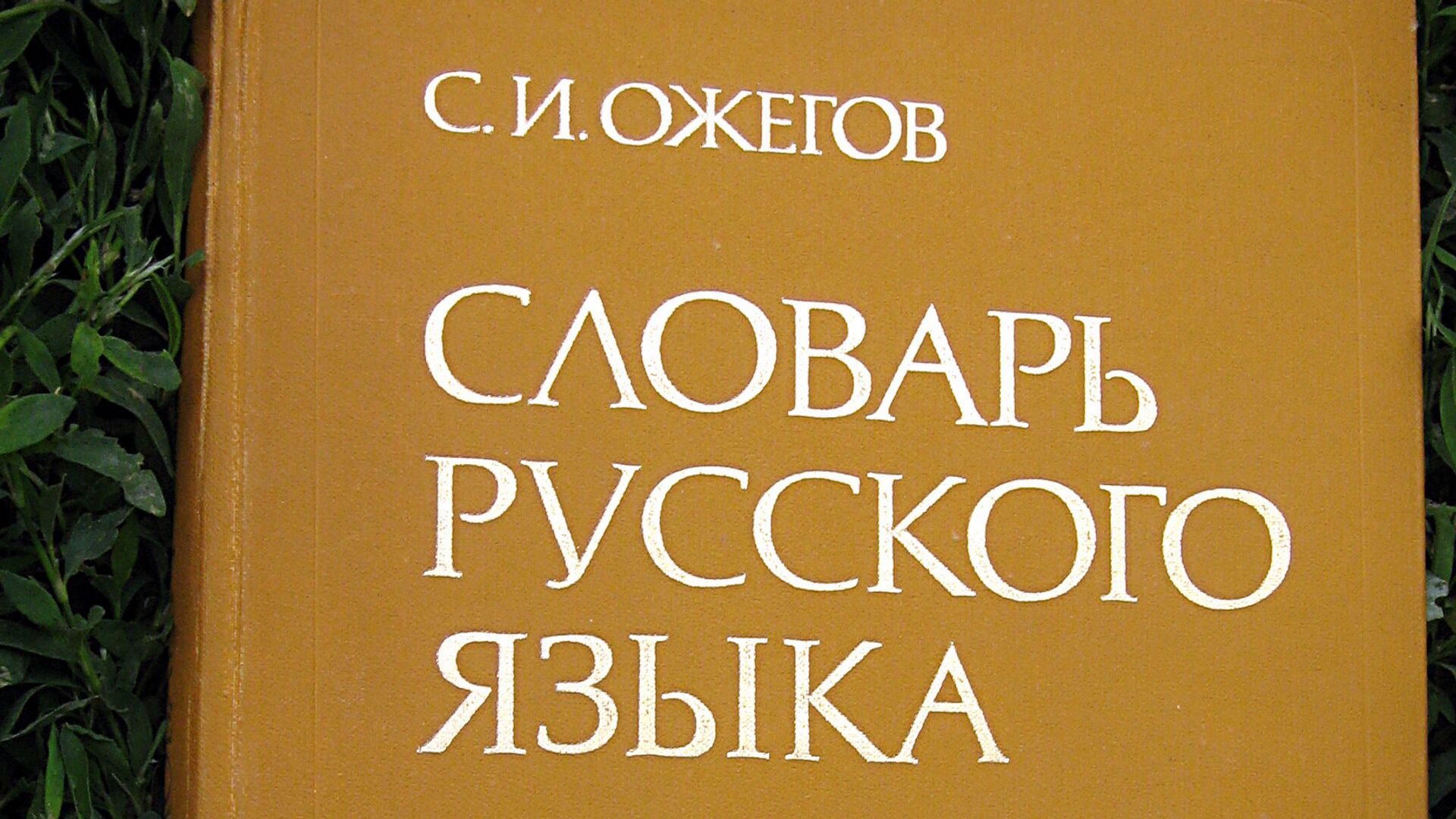 Словарь русского языка С. И. Ожегова - РИА Новости, 1920, 08.02.2026