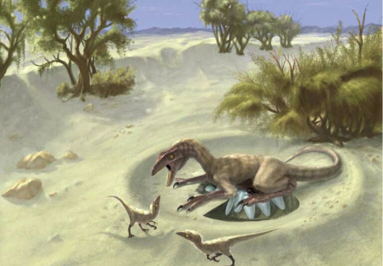 Так художник представил себе овираптора, сидящего на кладке