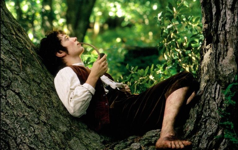 Кадр из фильма Властелин колец: Братство кольца