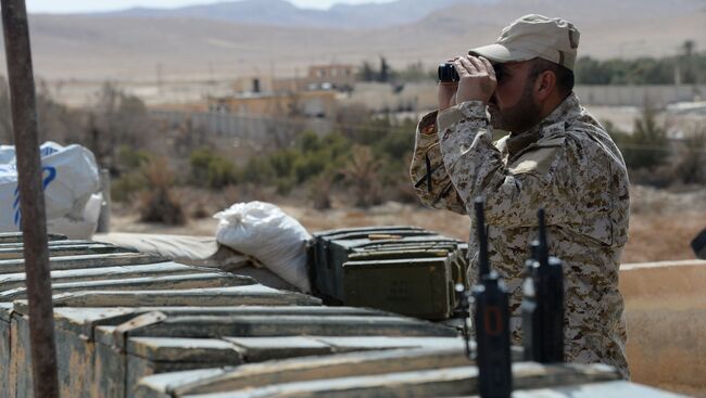 Боевые действия сирийской армии в окрестностях Пальмиры. Архивное фото