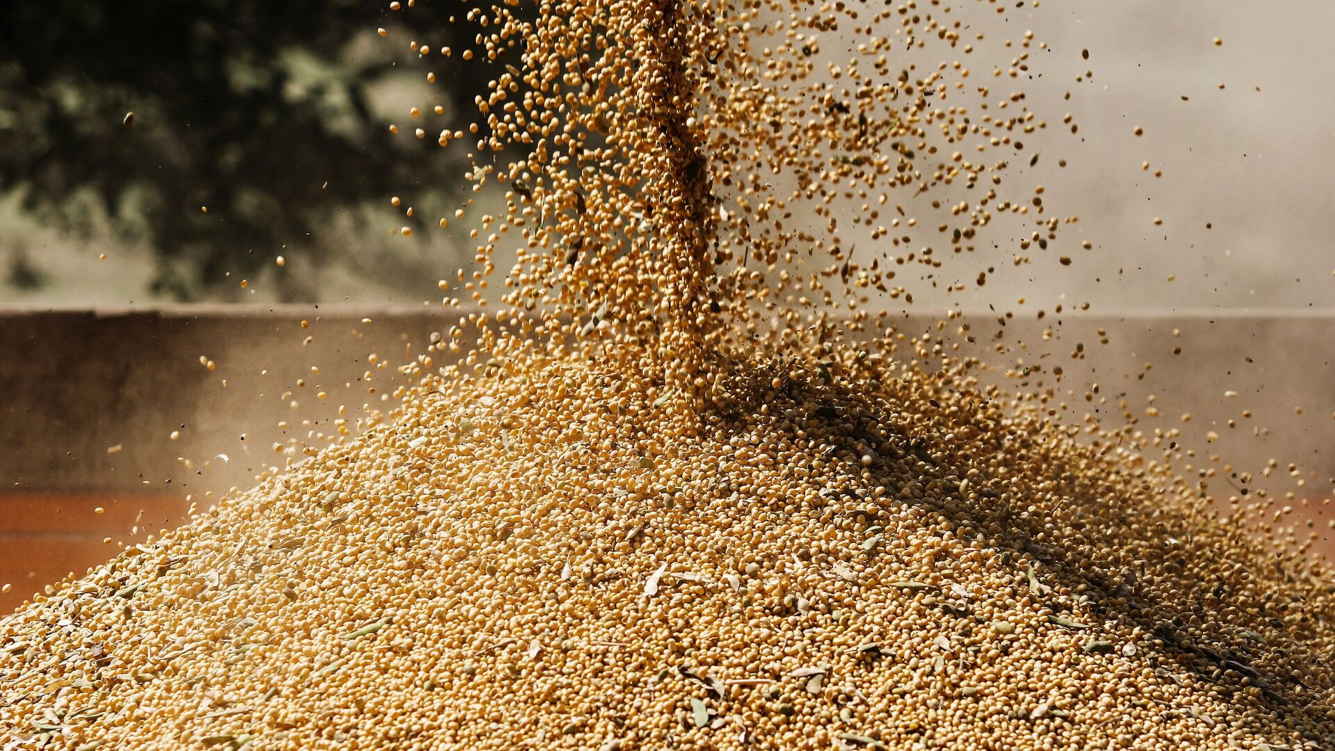 Уборка сои - РИА Новости, 1920, 25.08.2025