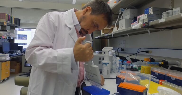 Ученый ищет следы коровьего бешенства в образцах крови Ученый ищет следы коровьего бешенства в образцах крови