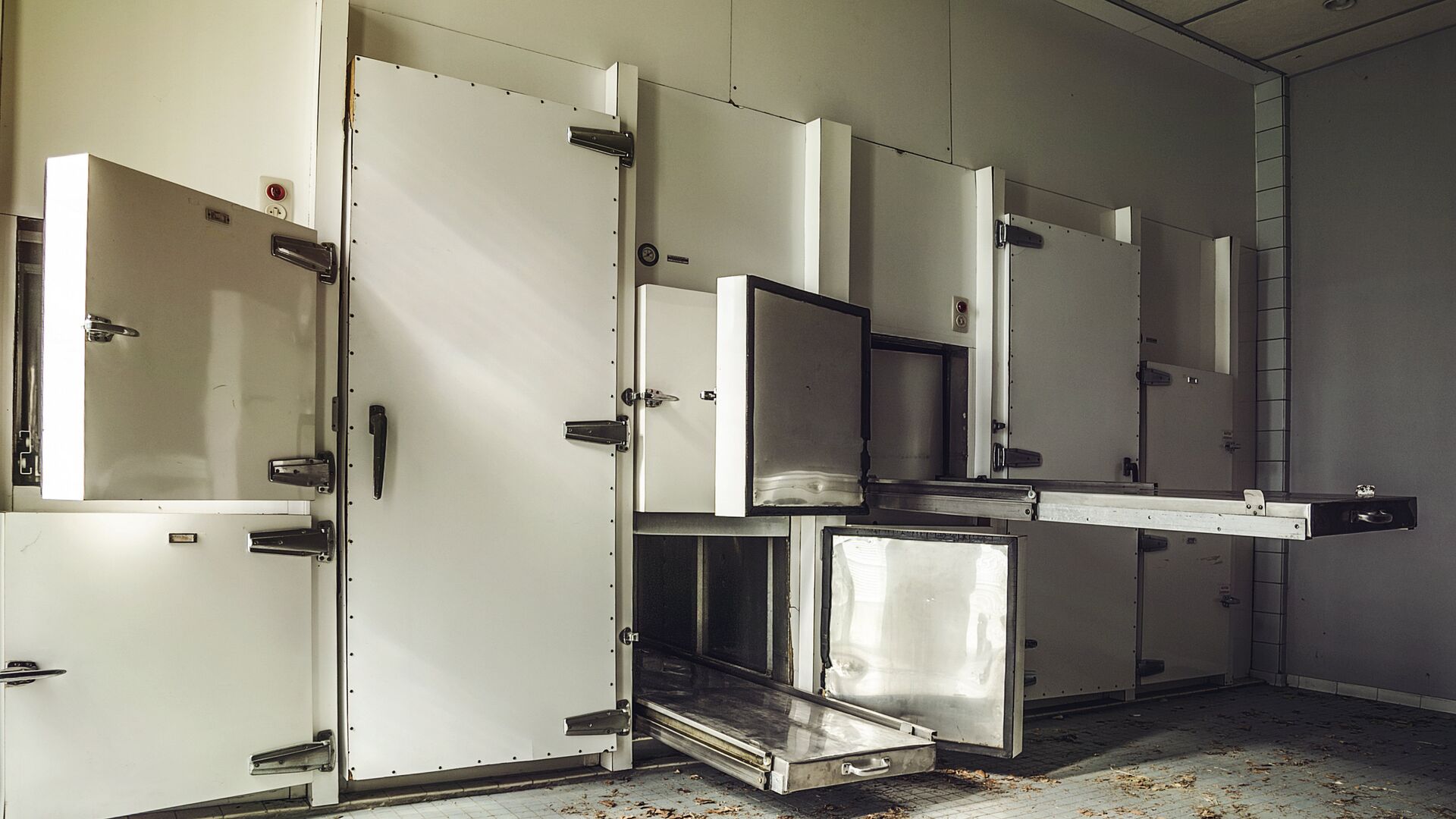 Морг - РИА Новости, 1920, 05.08.2025