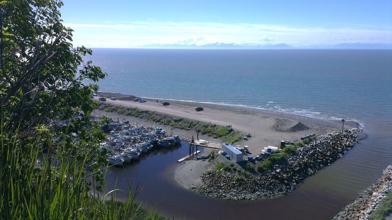В месте впадения реки Нинильчик в залив Кука В месте впадения реки Нинильчик в залив Кука
