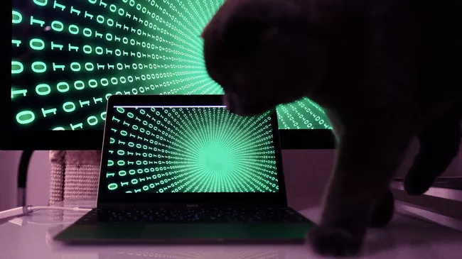 Информационные технологии