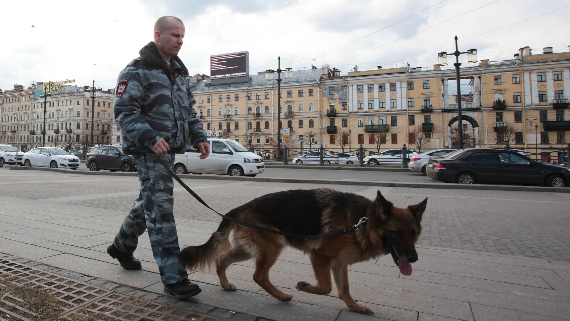 Сотрудник правоохранительных органов с собакой на улице в Санкт-Петербурге - РИА Новости, 1920, 13.12.2022