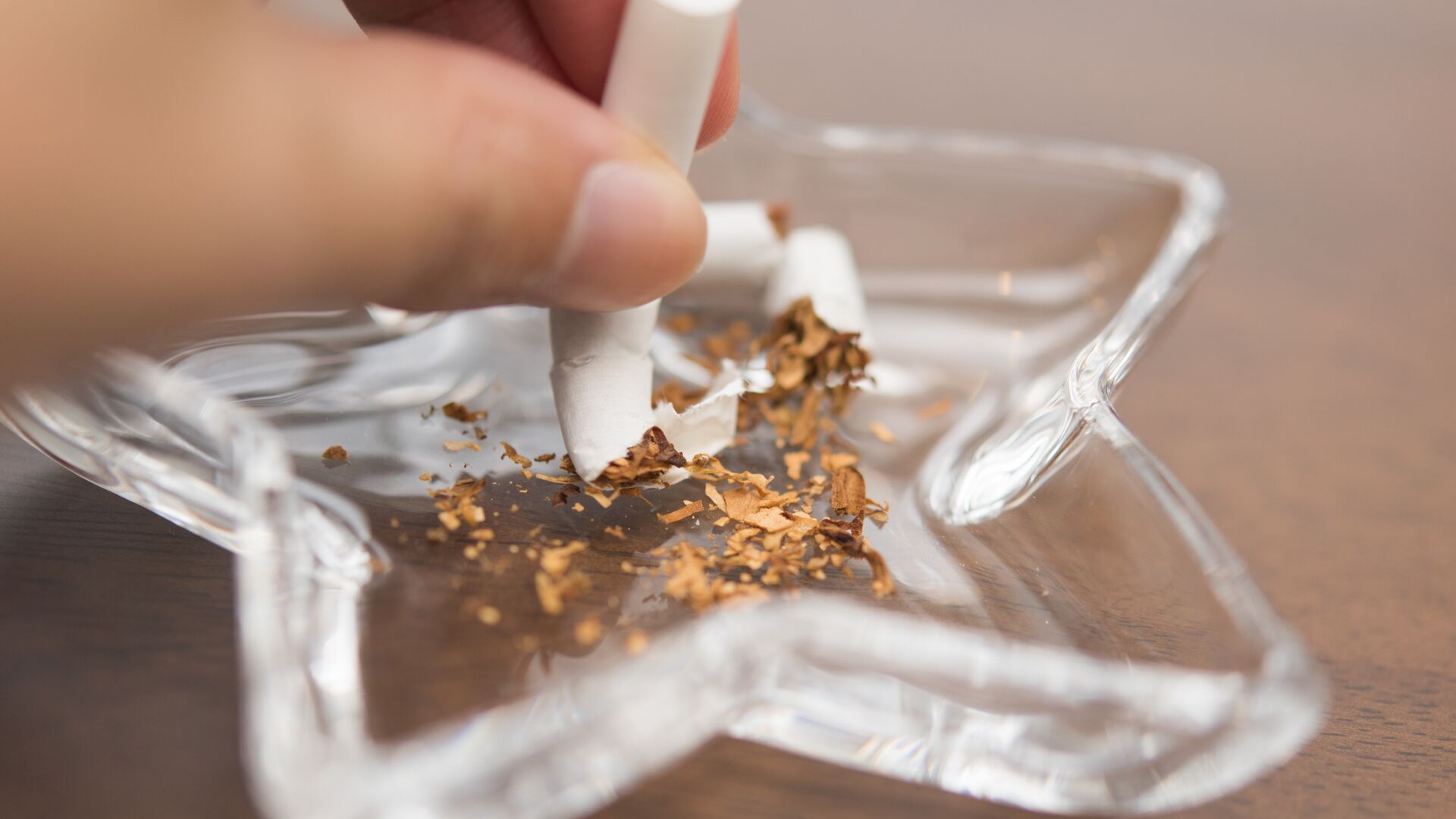 Сломанная сигарета в пепельнице - РИА Новости, 1920, 14.09.2025