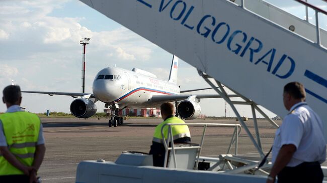 Возле аэропорта Волгограда высадят деревья в виде цифр 2018