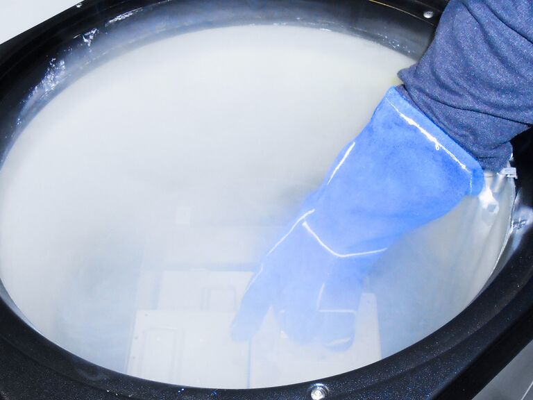 Образцы хранятся не в жидком азоте, а в его парах.