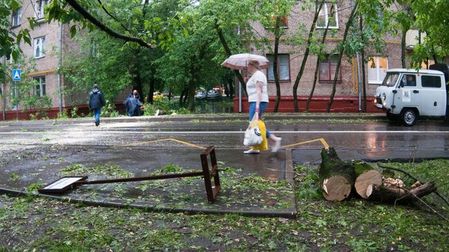 Последствия урагана в Москве