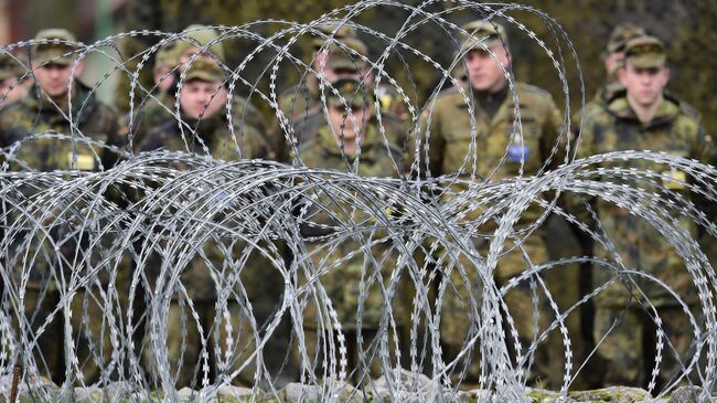 Солдаты на построении в многонациональном корпусе НАТО в Польше