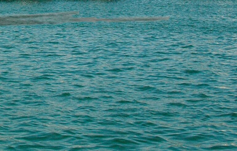 Пятно на воде