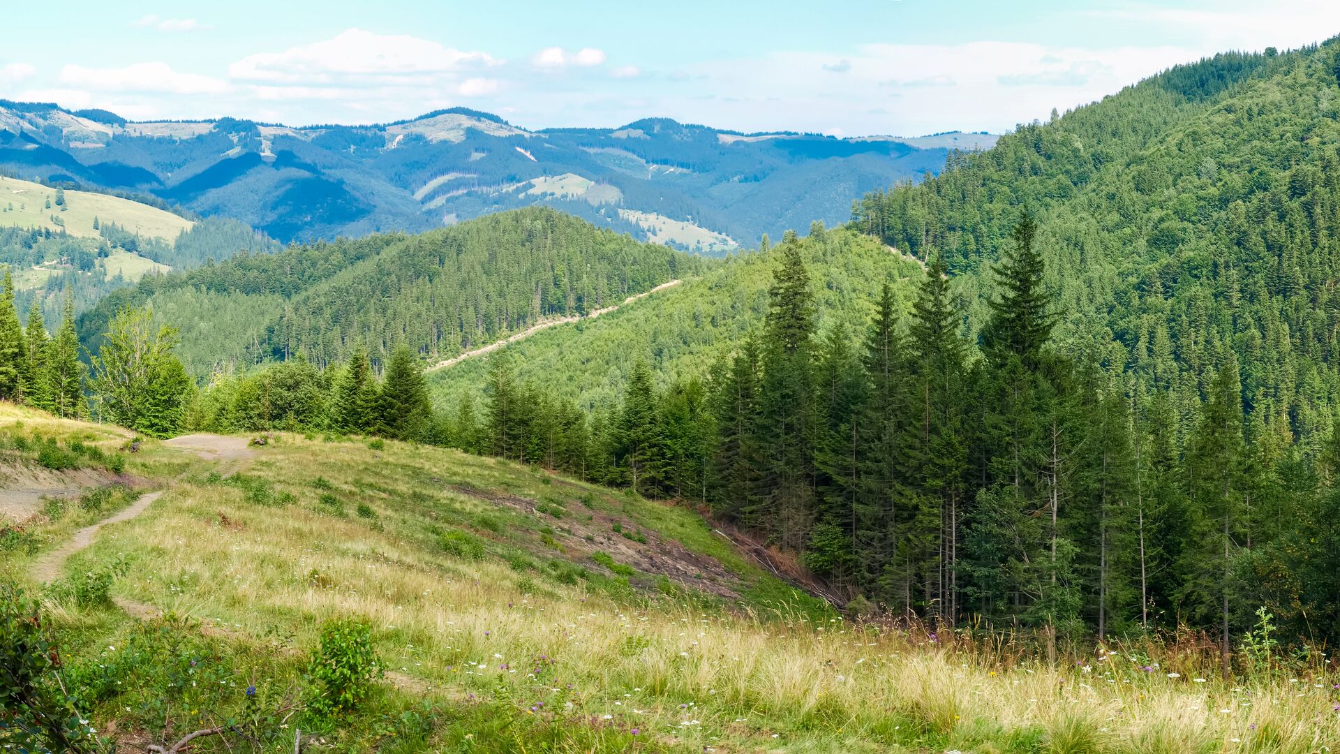 Вид на Карпаты - РИА Новости, 1920, 08.08.2023