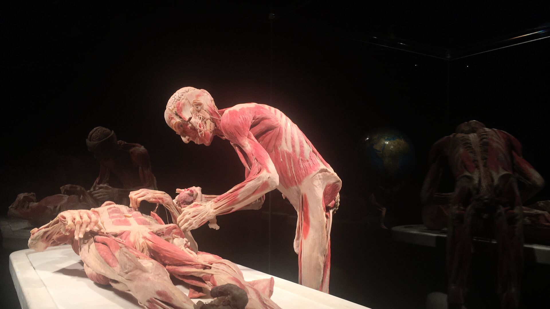 Открытие выставки Body Worlds в Женеве - РИА Новости, 1920, 17.02.2021