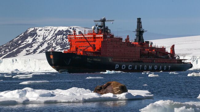 Морж на льдине у берегов одного из островов архипелага Земля Франца-Иосифа.