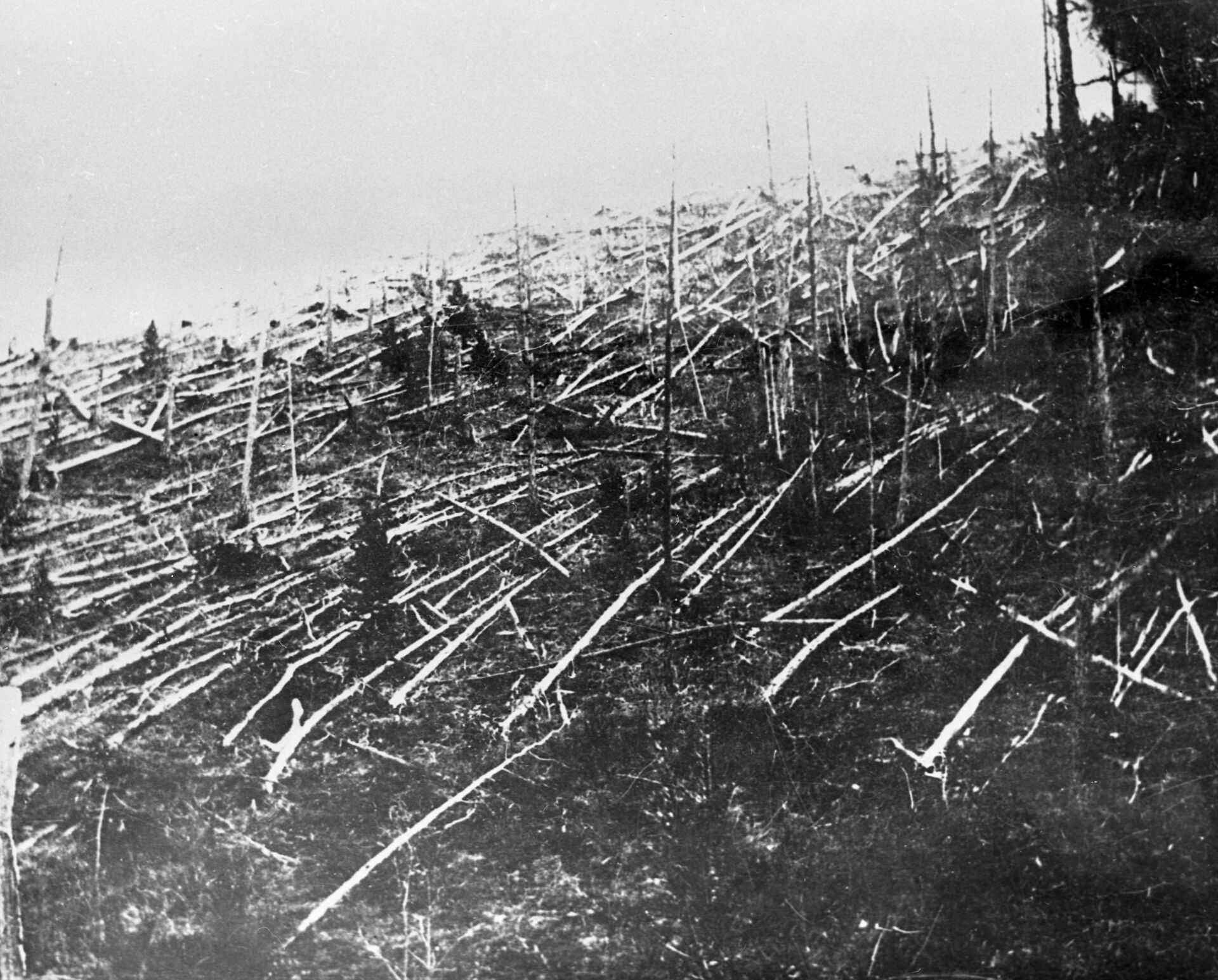 Эвенский автономный округ Красноярского края. Так выглядела тайга в 1927 году, когда ученые добрались до места падения - РИА Новости, 1920, 29.06.2021