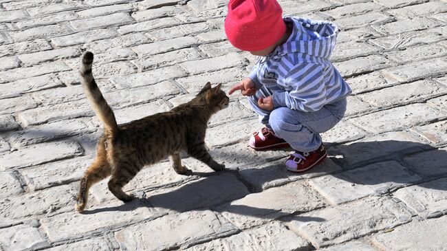 Симптомы аллергии иногда сложно отличить от симптомов других заболеваний, например простуды или гриппа