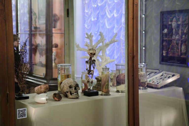 Экспонаты Музея антропологии и этнографии им. Петра Великого (Кунсткамера)