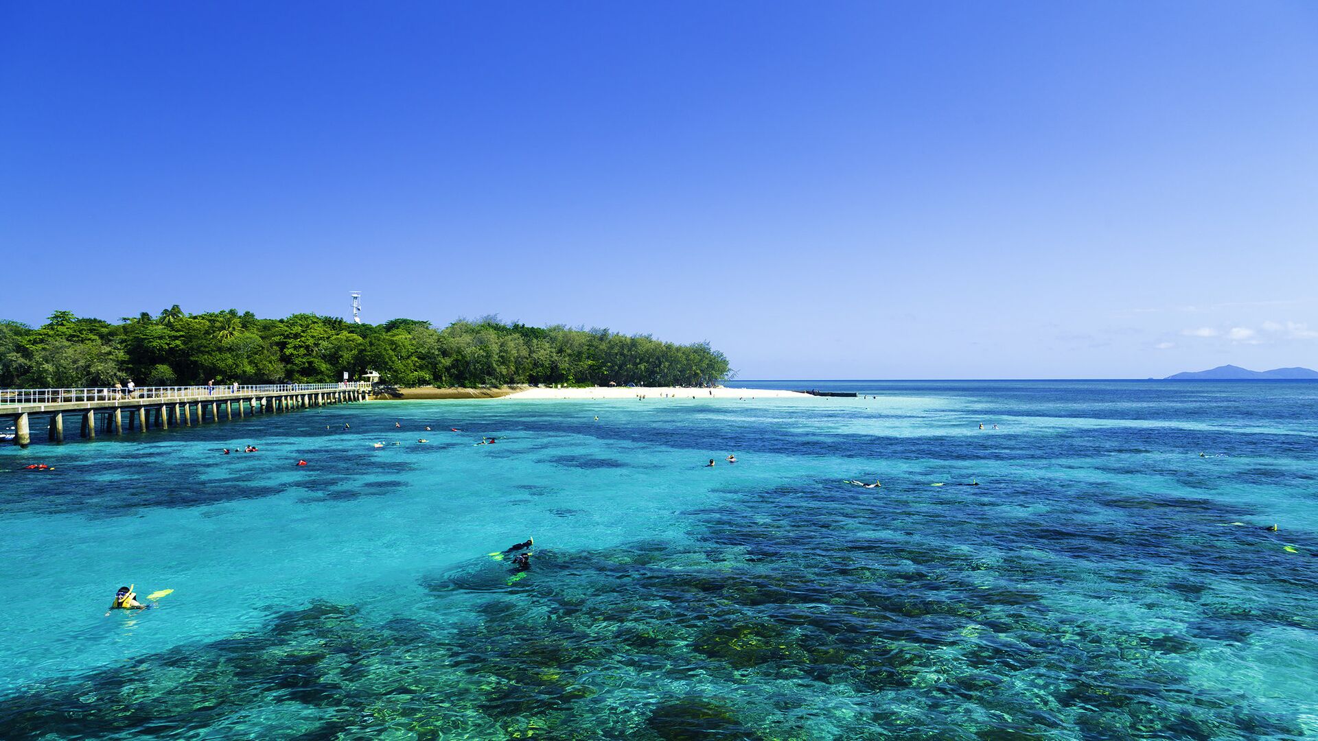 Большой Барьерный риф в штате Квинсленд, Австралия - РИА Новости, 1920, 25.03.2025