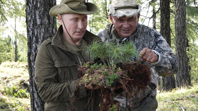 Президент РФ Владимир Путин и министр обороны РФ Сергей Шойгу во время отдыха на Енисее в Республике Тыва