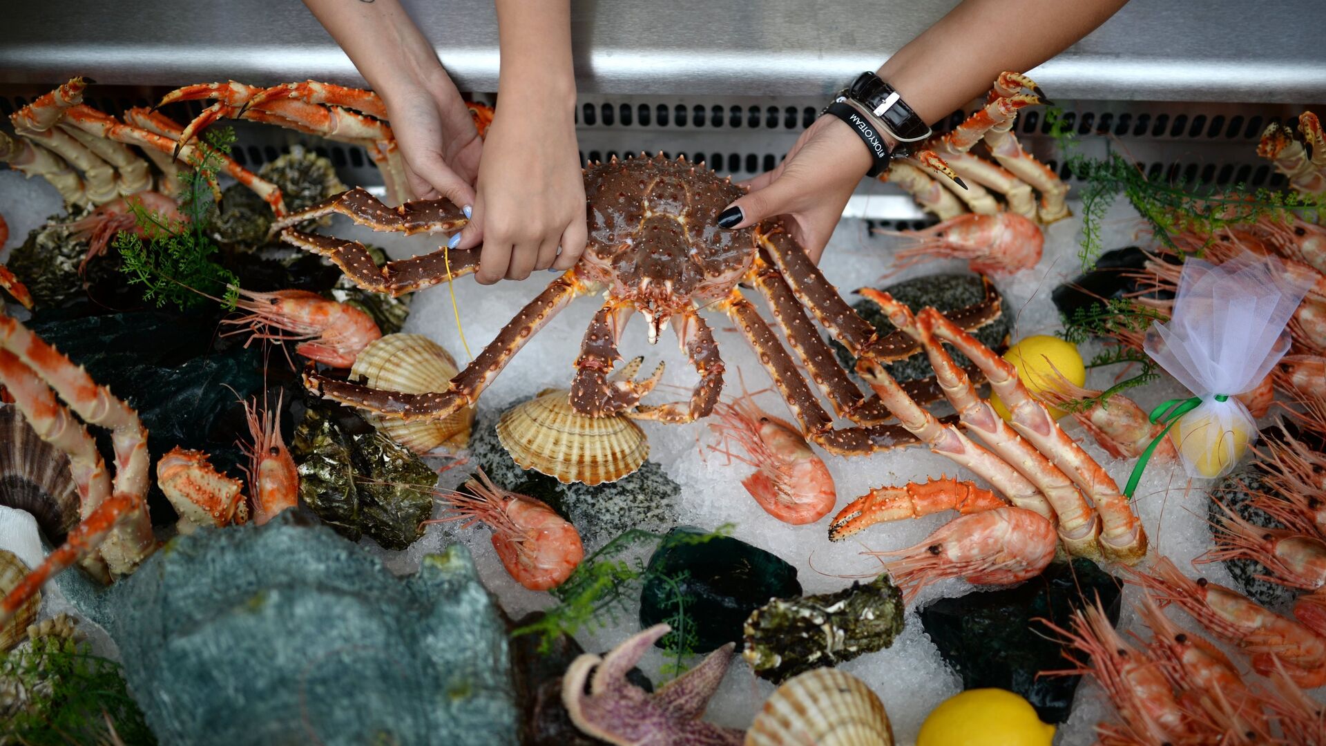 Морепродукты на рыбном рынке - РИА Новости, 1920, 21.09.2020