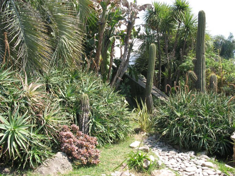 Фестиваль цветов в Аргентине Фестиваль цветов в Аргентине