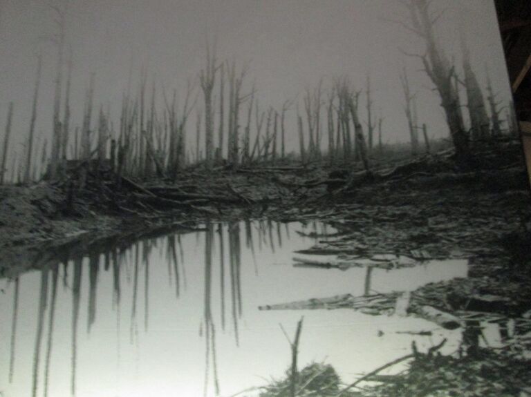 Одно из мест сражений Первой мировой войны близ города Ипр 