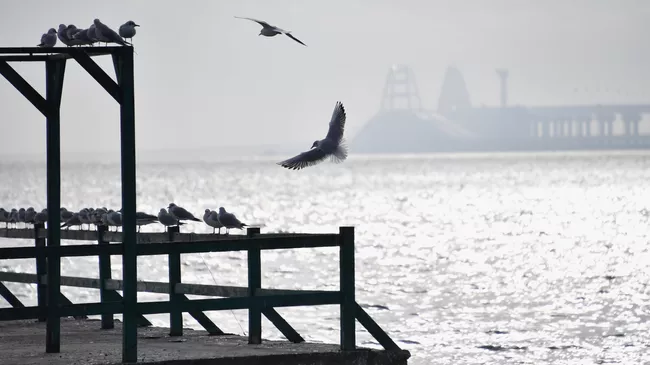 Вид на Керченский пролив с набережной в Керчи