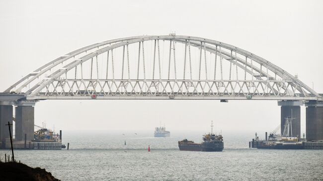 Суда проходят под аркой Крымского моста после возобновления судоходства в Керченском проливе. 26 ноября 2015