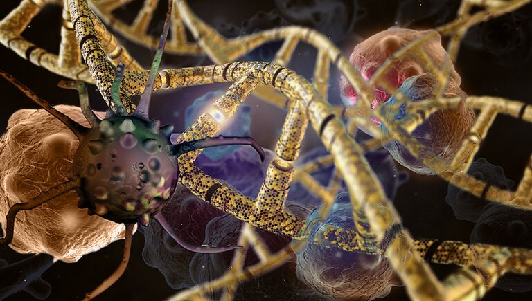 Генетические мутации, ДНК